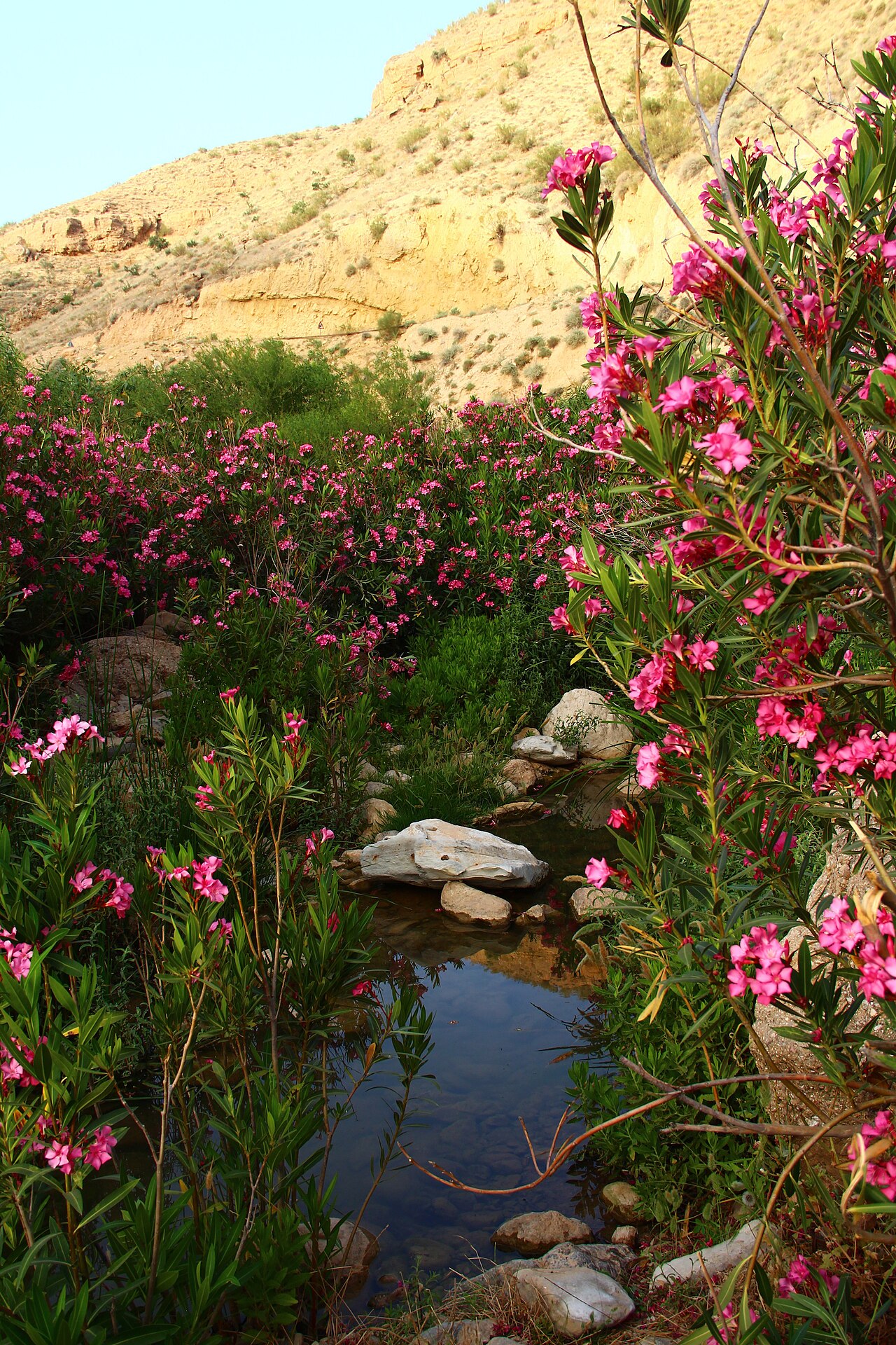 Karak Qasabah District, Jordan