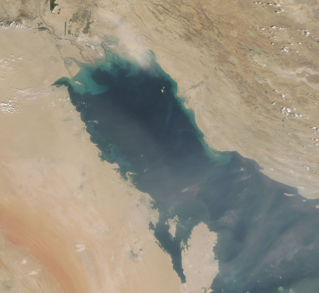 Satellite image of dust over the Persian Gulf in 2018.