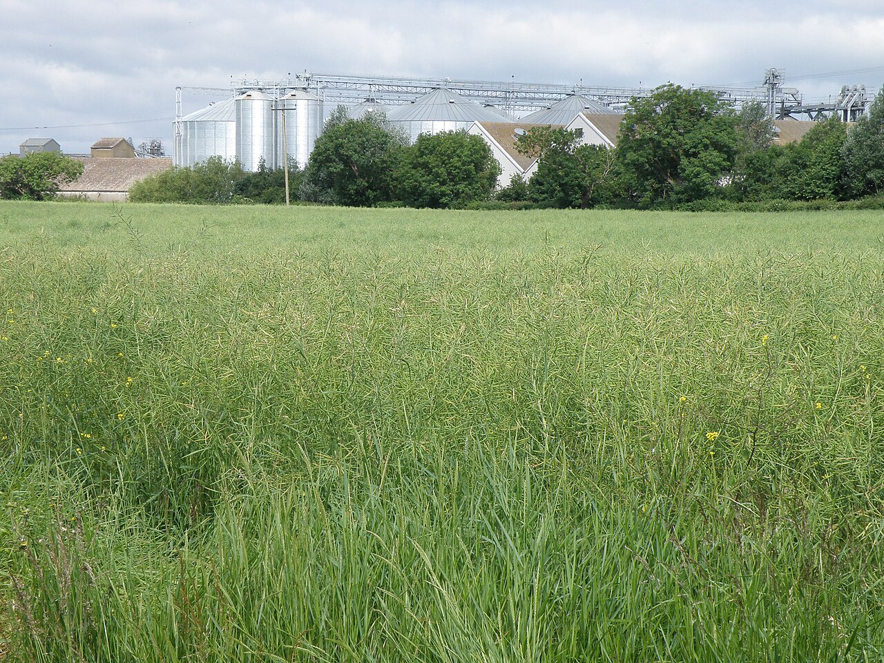 Grain silos at a storage facility.