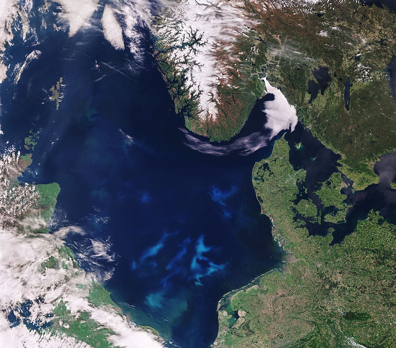 Satellite image of the southern North Sea showing shipping lanes and an algae bloom